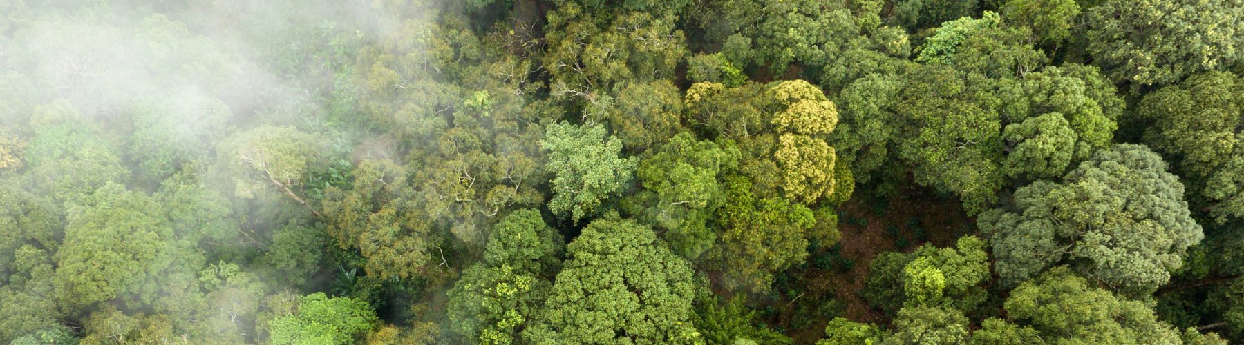 ESG, GHG, CSR – how is an SME supposed to keep up? Cutting through the carbon jargon.